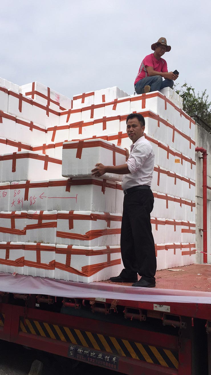 首页- 尊龙集团中国官网入口