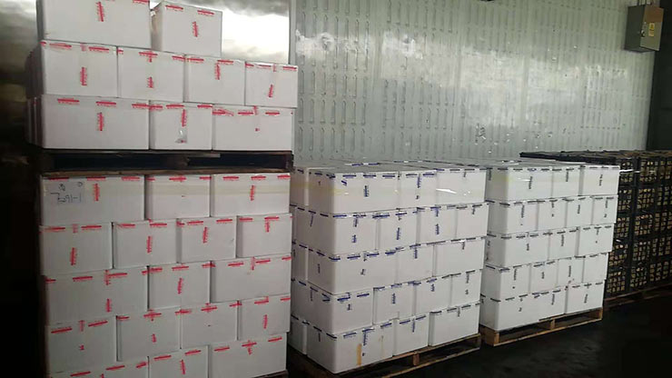 首页- 尊龙集团中国官网入口