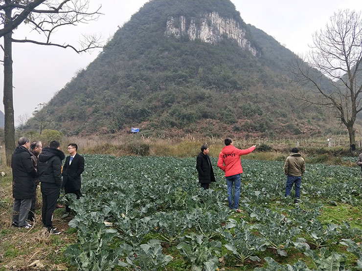 首页- 尊龙集团中国官网入口