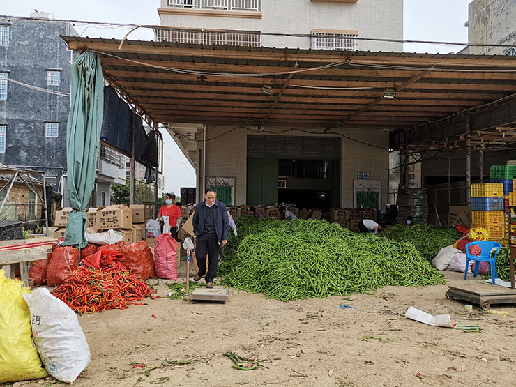 首页- 尊龙集团中国官网入口