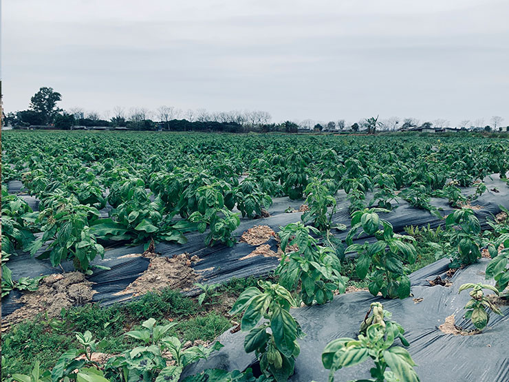 首页- 尊龙集团中国官网入口