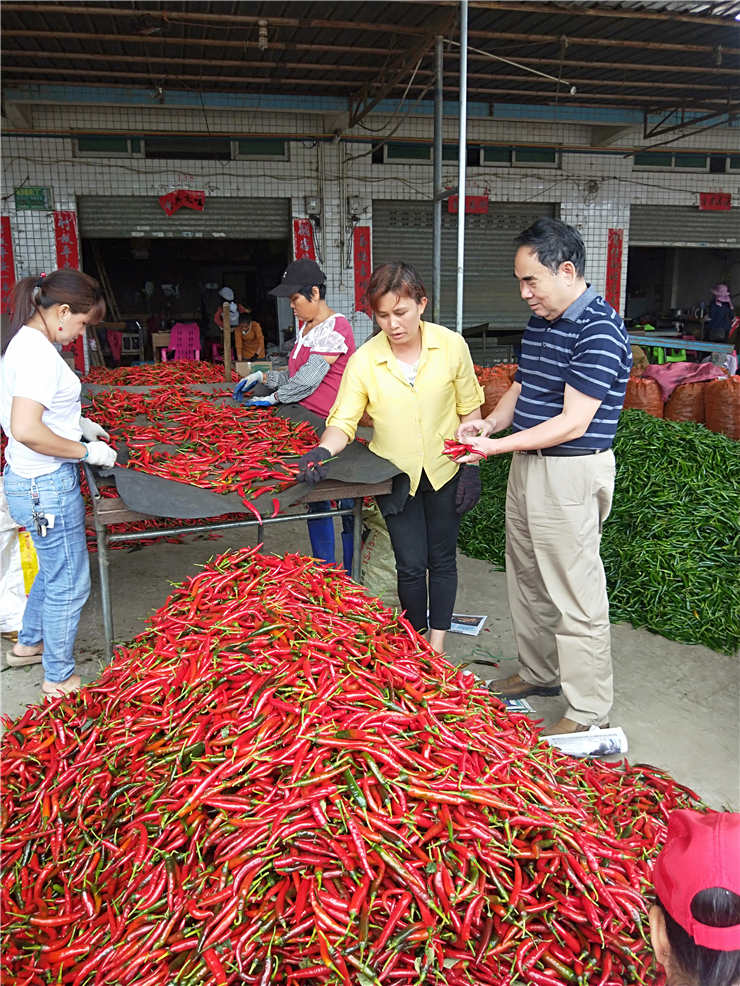 首页- 尊龙集团中国官网入口