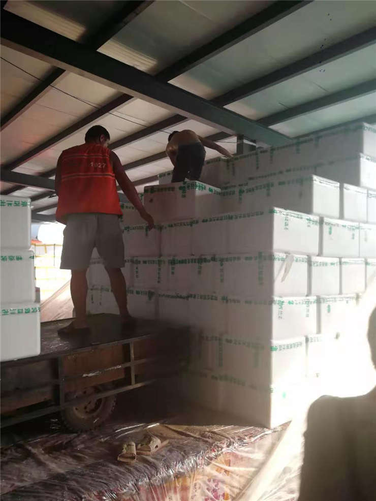 首页- 尊龙集团中国官网入口