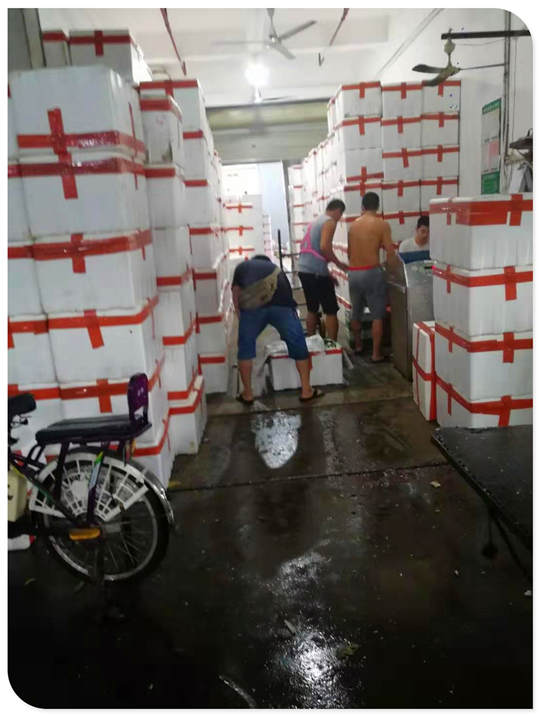 首页- 尊龙集团中国官网入口