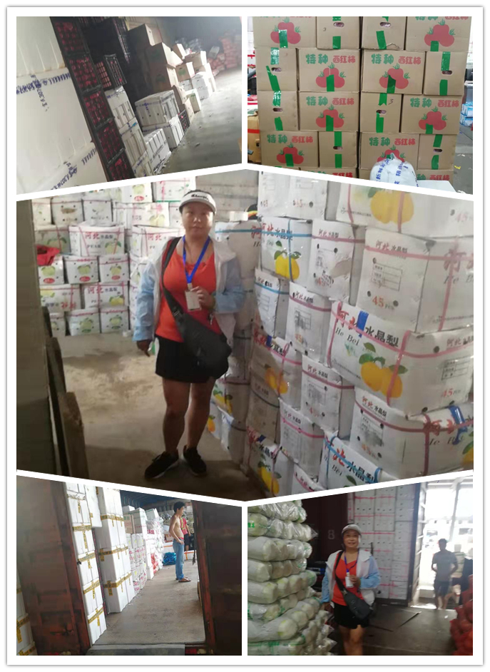 首页- 尊龙集团中国官网入口