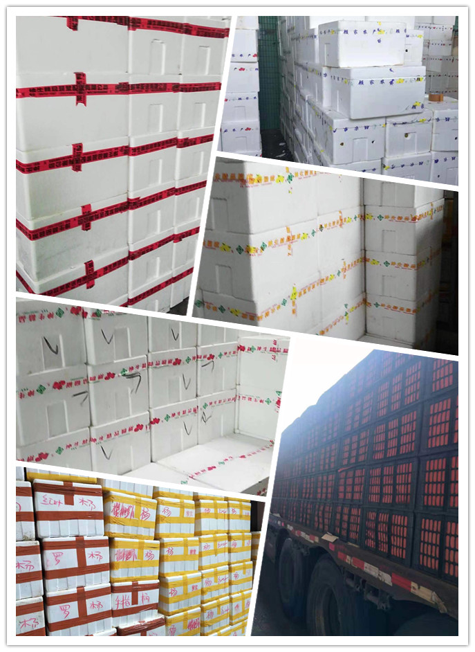 首页- 尊龙集团中国官网入口