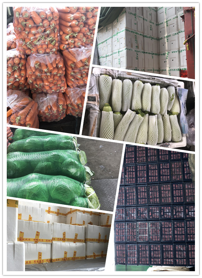 首页- 尊龙集团中国官网入口