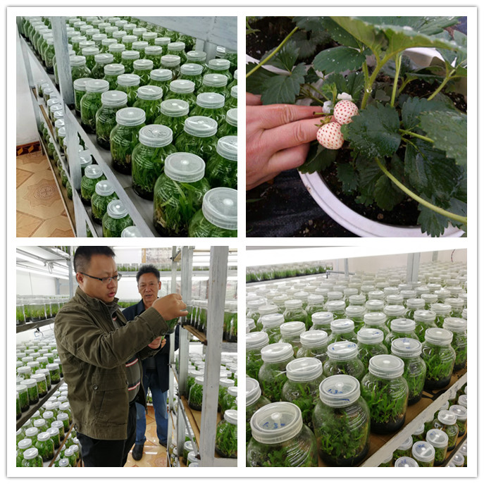 首页- 尊龙集团中国官网入口