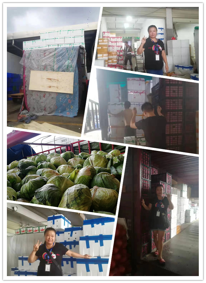 首页- 尊龙集团中国官网入口