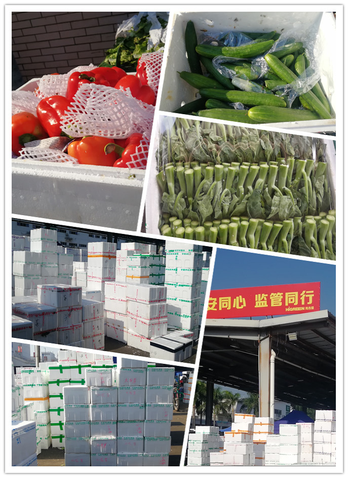 首页- 尊龙集团中国官网入口