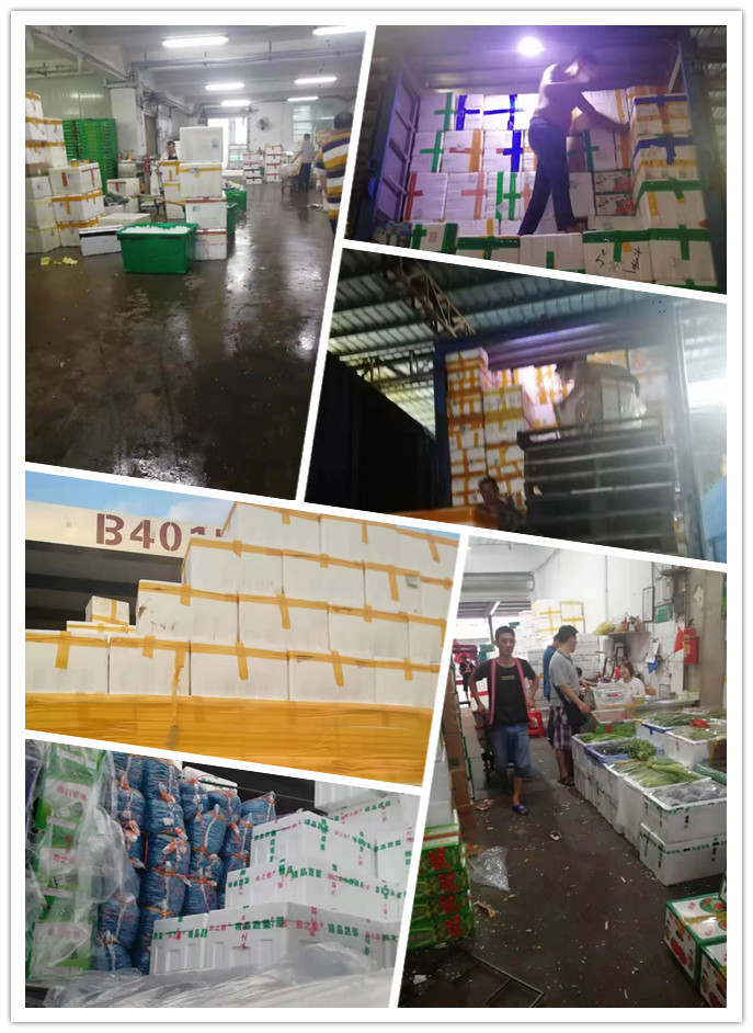 首页- 尊龙集团中国官网入口