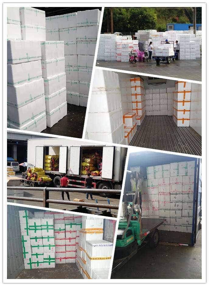 首页- 尊龙集团中国官网入口