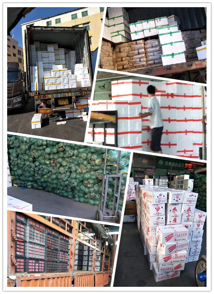 首页- 尊龙集团中国官网入口