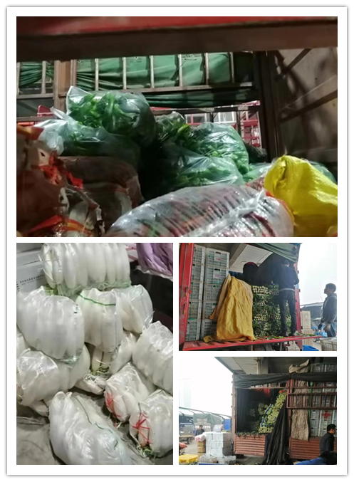 首页- 尊龙集团中国官网入口