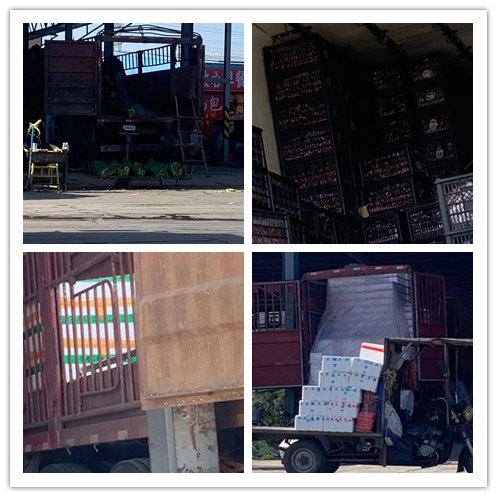 首页- 尊龙集团中国官网入口