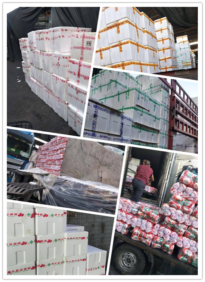 首页- 尊龙集团中国官网入口