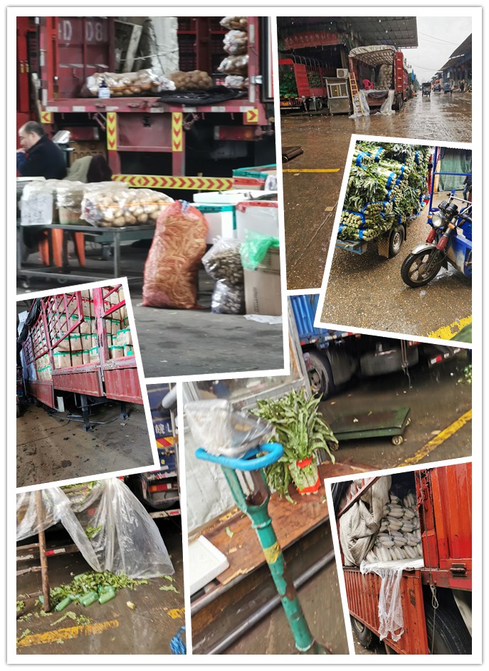 首页- 尊龙集团中国官网入口