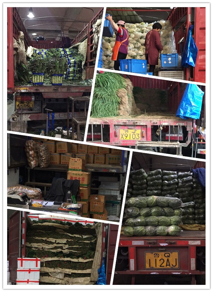 首页- 尊龙集团中国官网入口