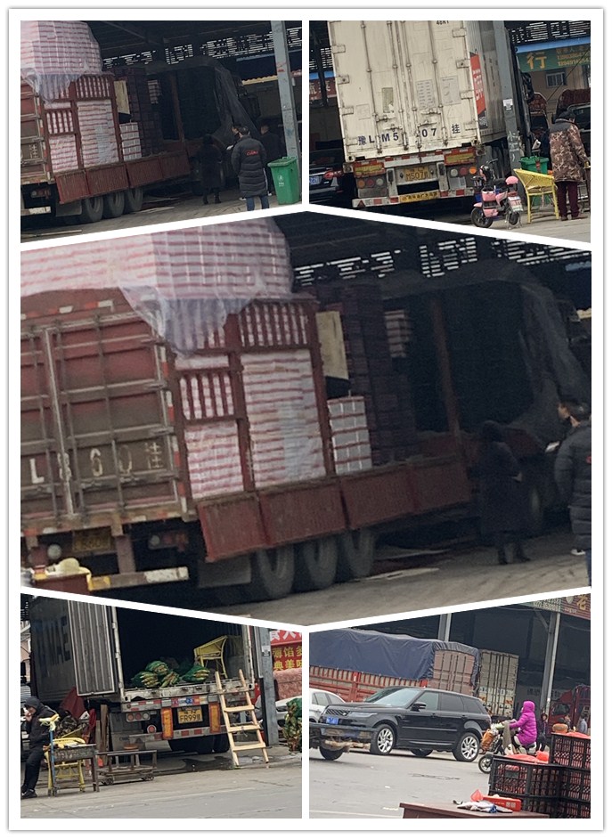 首页- 尊龙集团中国官网入口