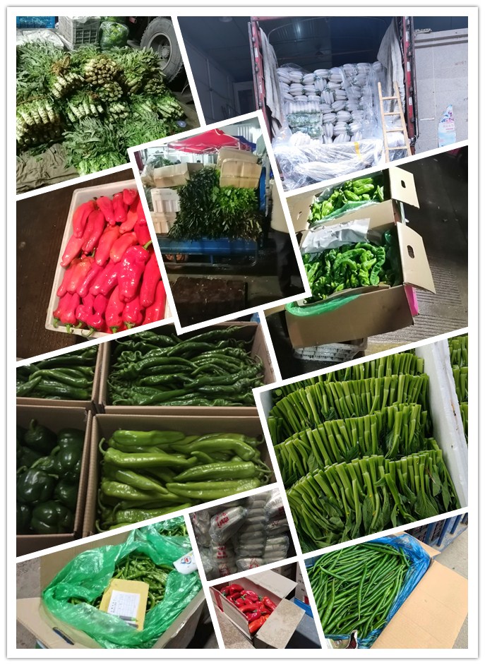 首页- 尊龙集团中国官网入口