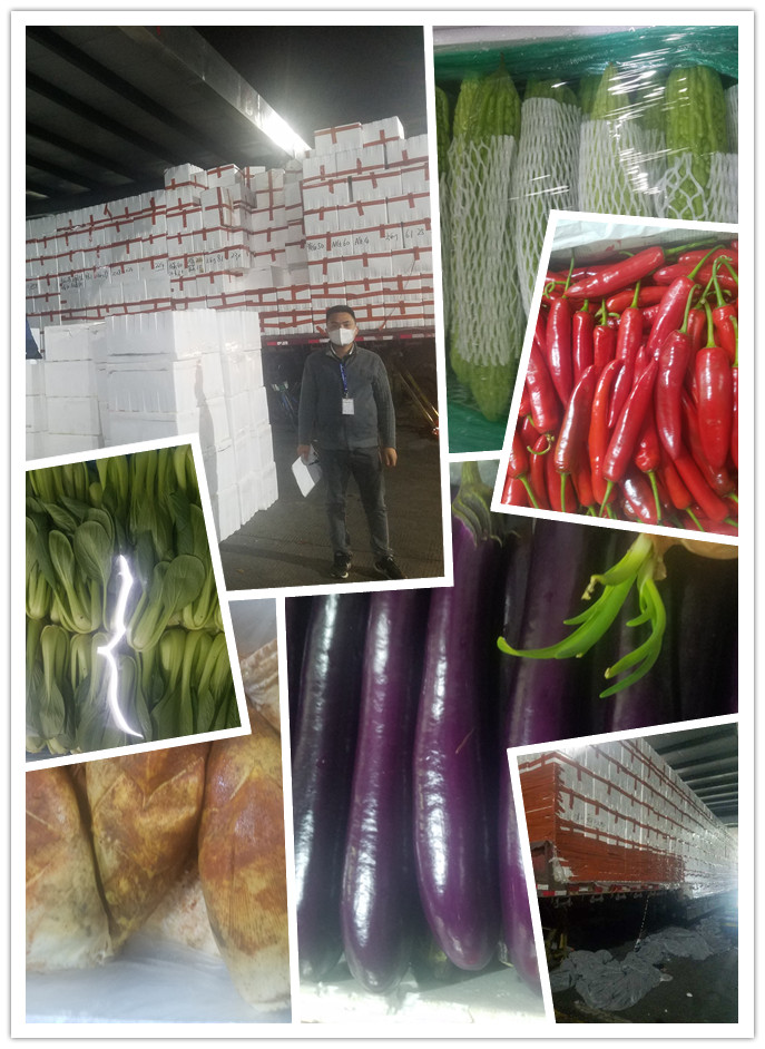 首页- 尊龙集团中国官网入口