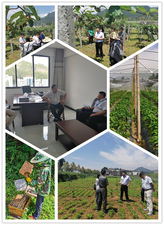 首页- 尊龙集团中国官网入口