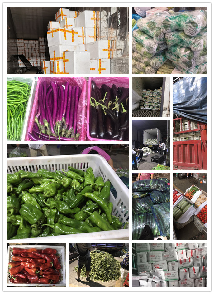 首页- 尊龙集团中国官网入口