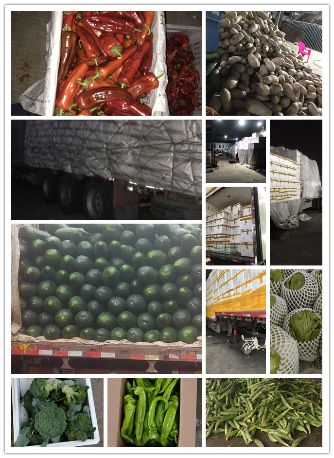 首页- 尊龙集团中国官网入口