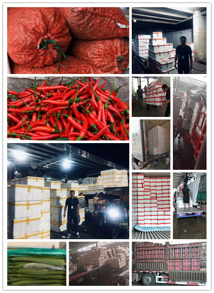 首页- 尊龙集团中国官网入口