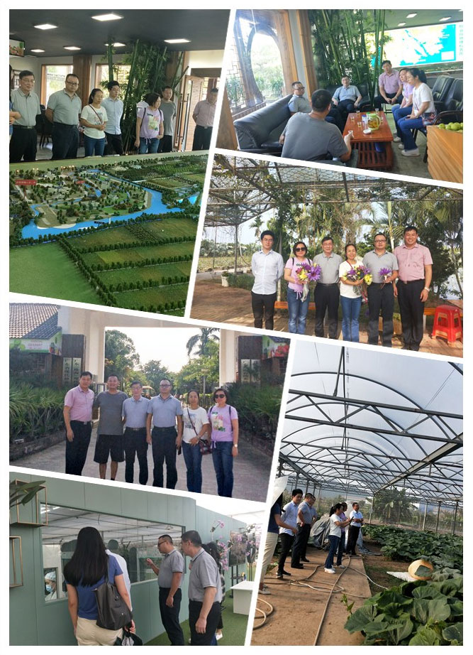 首页- 尊龙集团中国官网入口