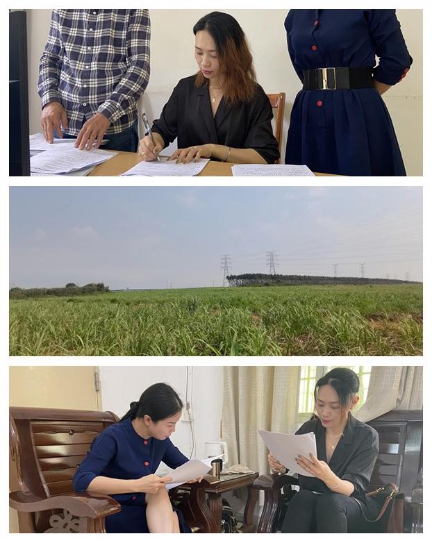 首页- 尊龙集团中国官网入口