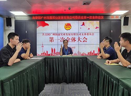 凝聚青春奋斗力量，集团团支部正式成立！