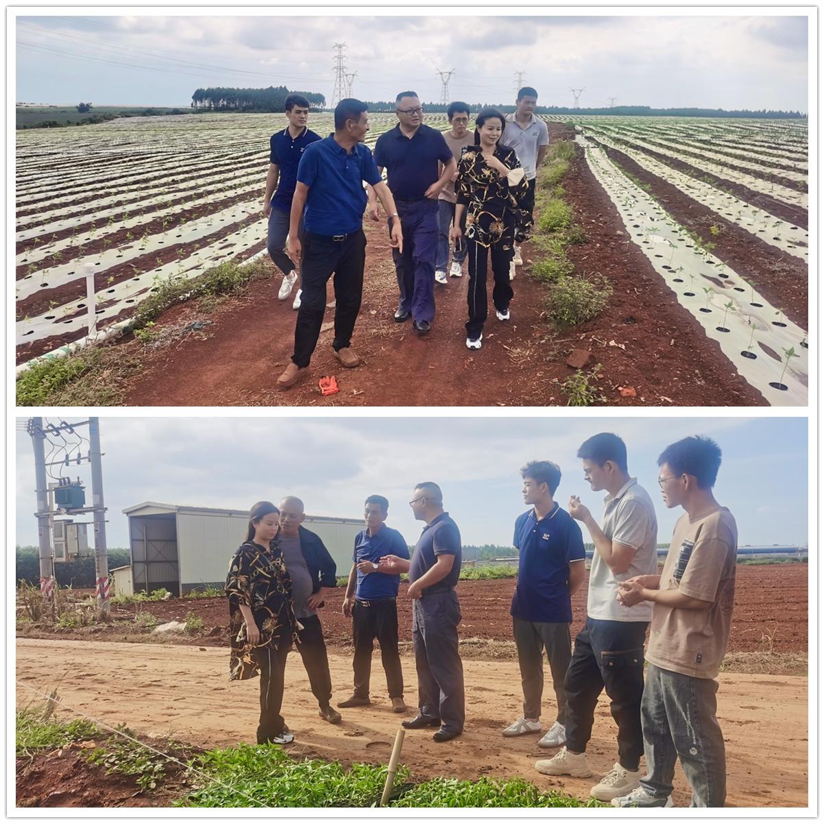 首页- 尊龙集团中国官网入口