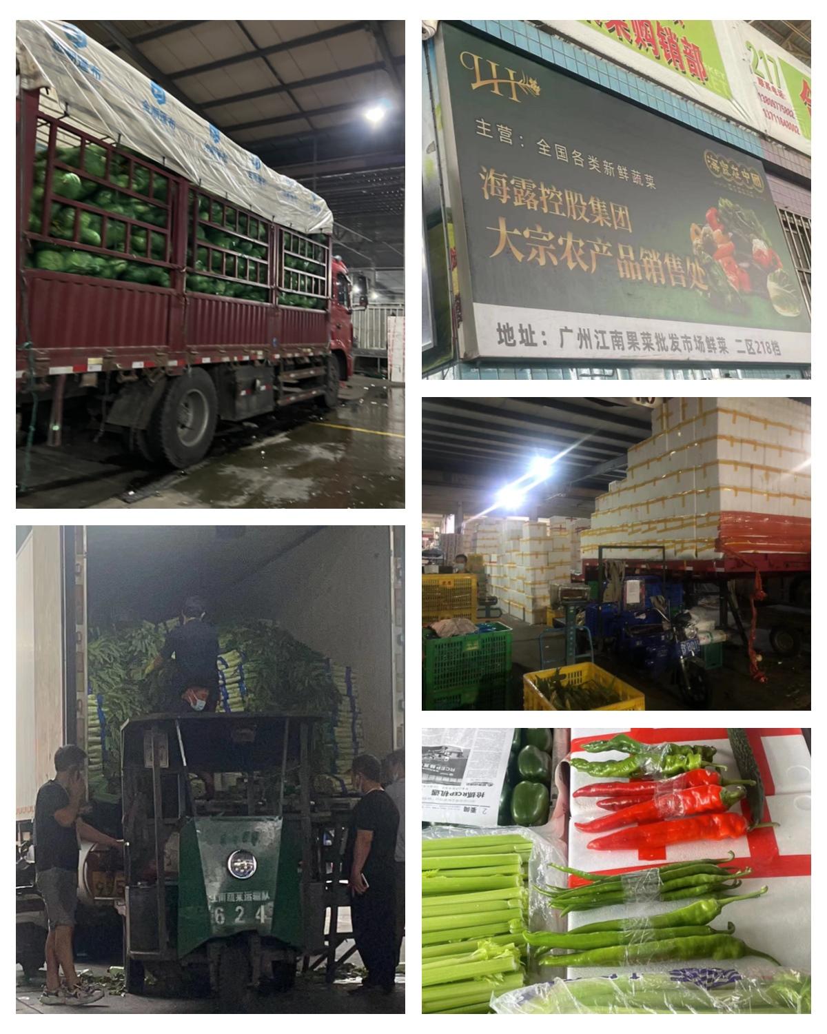 首页- 尊龙集团中国官网入口