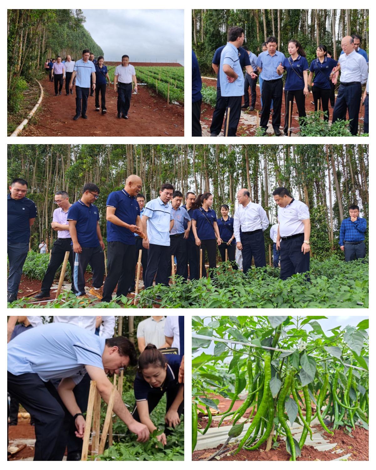 首页- 尊龙集团中国官网入口
