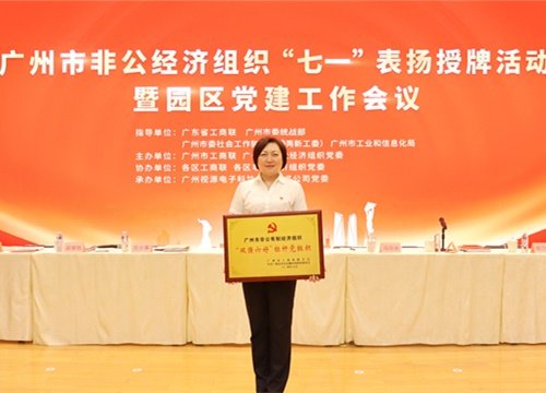标杆引领，荣誉升级！集团党支部荣膺广州市非公有造经济组织“双强六好”标