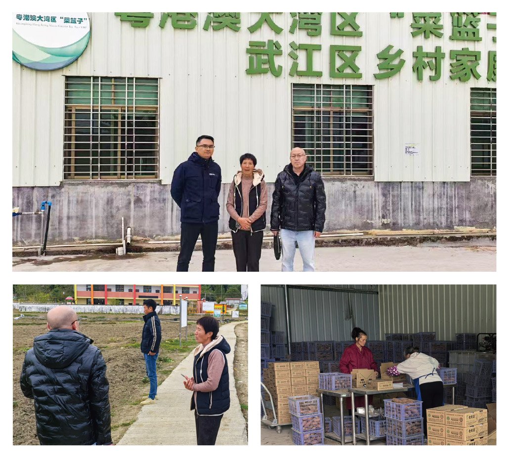 首页- 尊龙集团中国官网入口