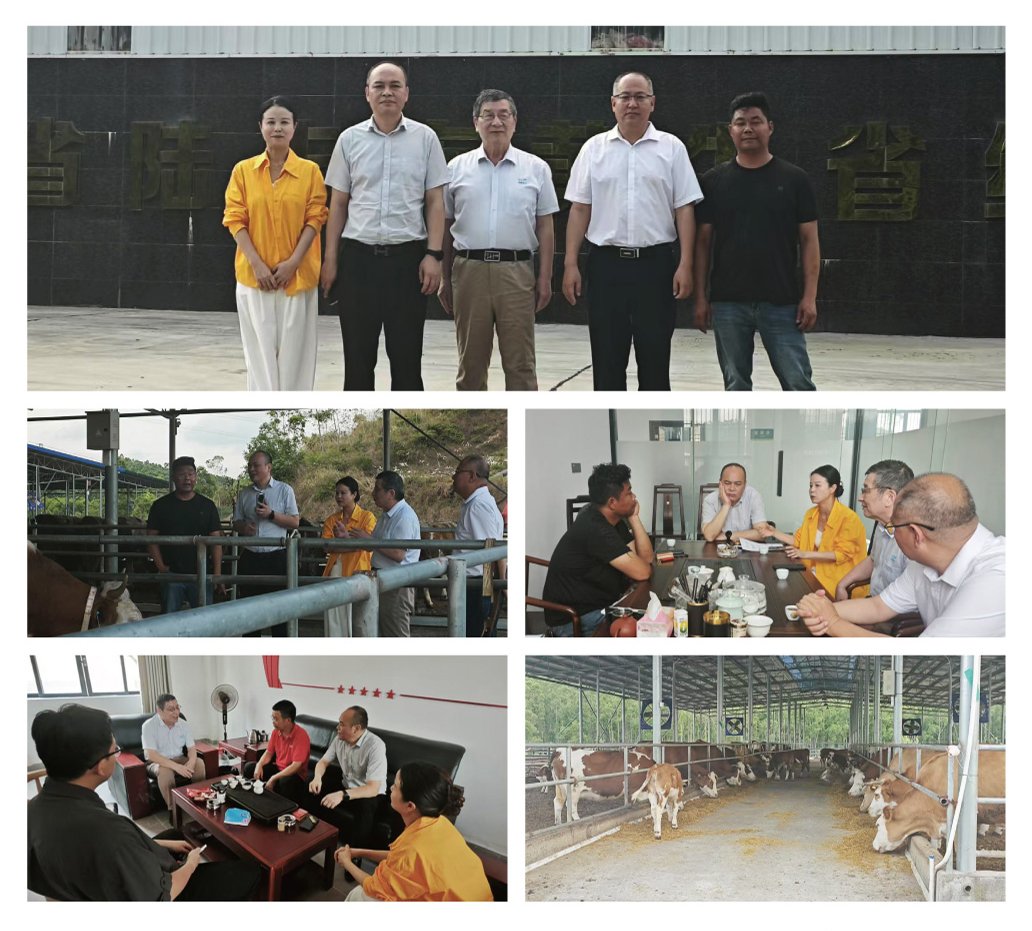 首页- 尊龙集团中国官网入口