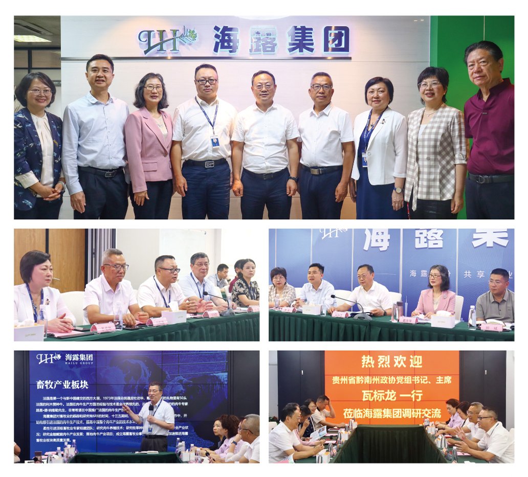 首页- 尊龙集团中国官网入口