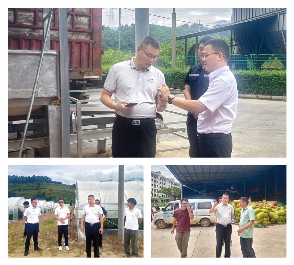 首页- 尊龙集团中国官网入口